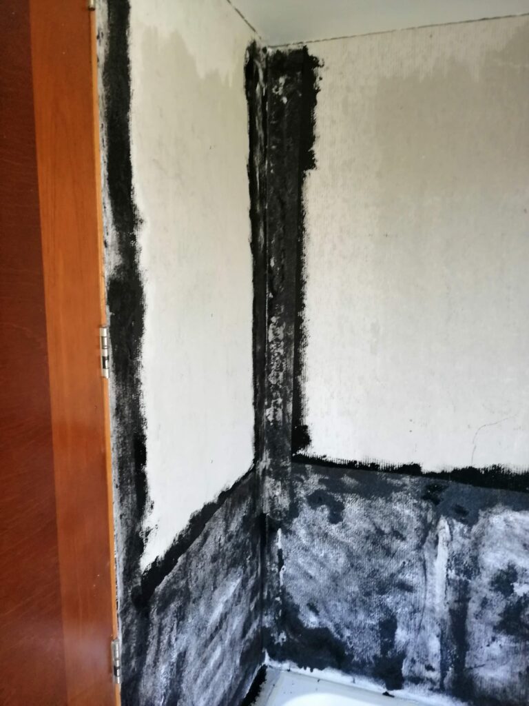 baño2