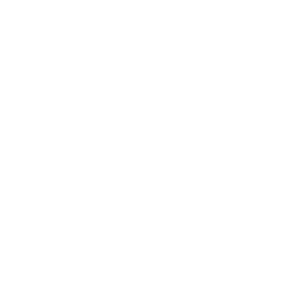 ¡Hora de surfear!