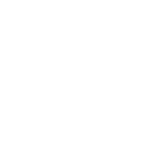 Ninja Style